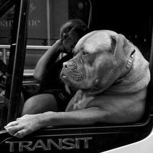 Meet your Posher, Gabriel